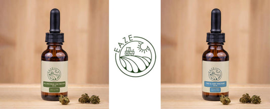 CBD Oils
